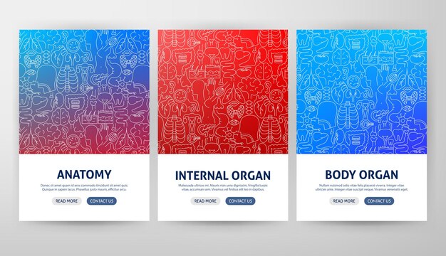 Vector anatomy flyer concepts