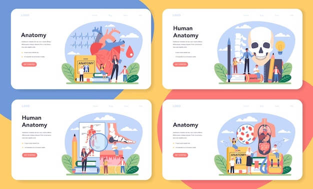 解剖学教科のwebバナーまたはランディングページセット