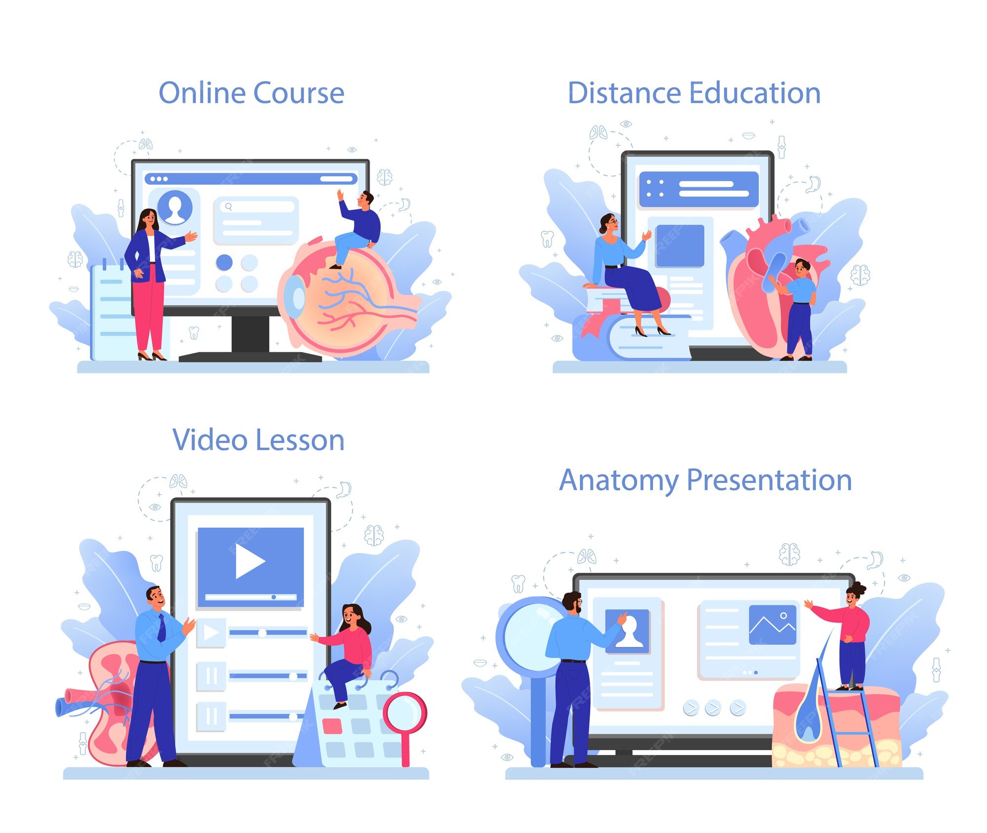 Premium Vector | Anatomy subject online service or platform set