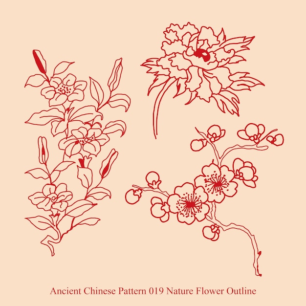 Vector ancient chinese pattern of nature flower outline