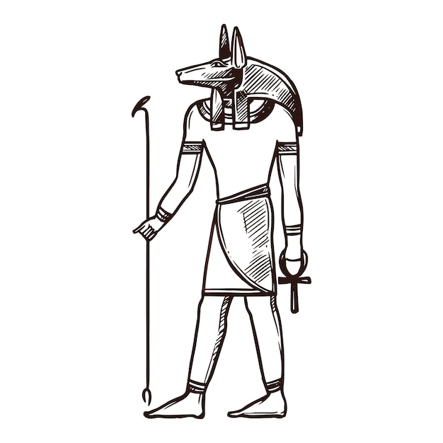Vector ancient egypt anubis god egyptian deity sketch
