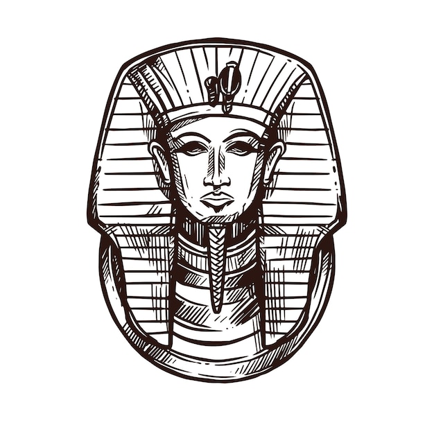 Vector ancient egypt tutankhamen pharaoh mask sketch