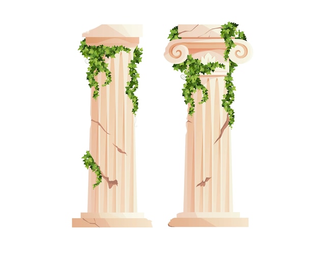 Vector ancient greek column with ivy climbing branches roman pillar