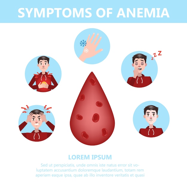 Вектор Инфографика симптомов анемии. заболевание крови. идея здоровья
