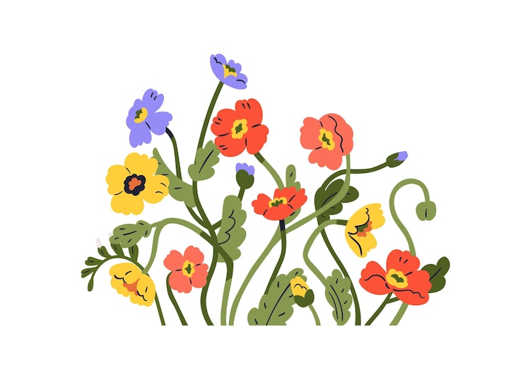 Anemone flowers cluster Spring blooms decoration Floral branches stems blossomed field plants multicolored wildflowers decor Botanical flat vector illustration isolated on white background