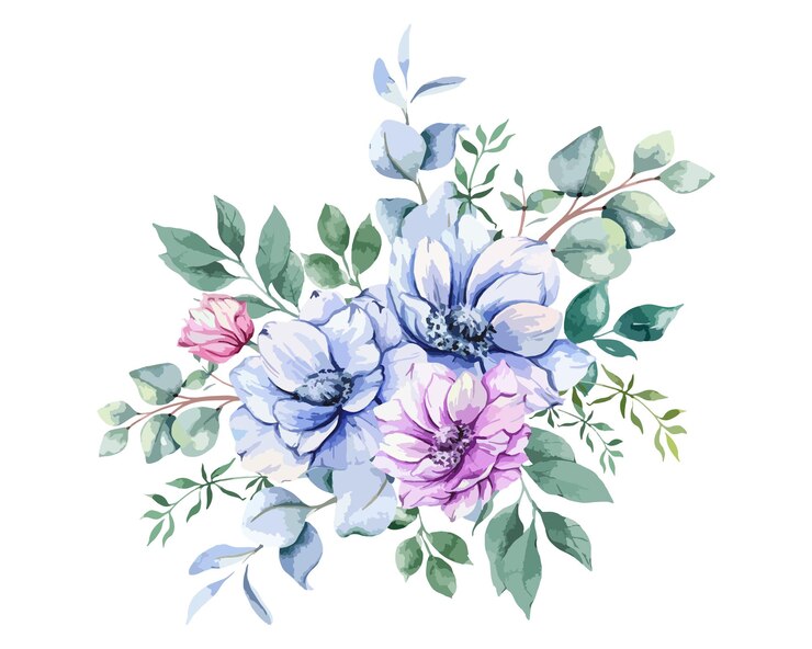 Vector anemone flowers watercolor illustration anemone bouquet