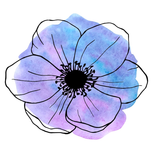 Fiore di arte della linea dell'illustrazione disegnata a mano dell'anemone sull'elemento floreale del fondo dell'acquerello per il disegno