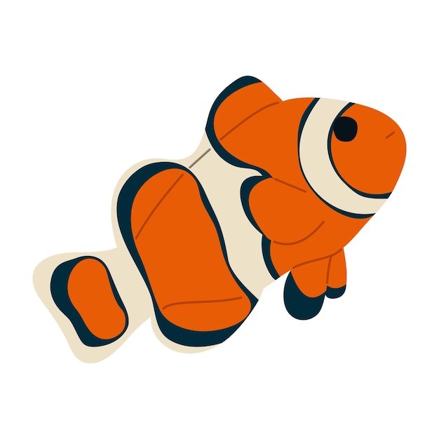 Vector anemonefish single 12