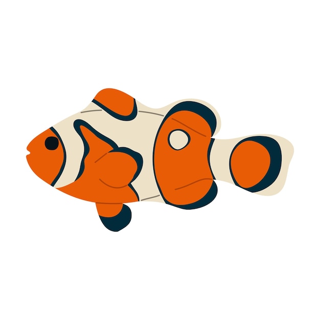 Vector anemonefish single 3