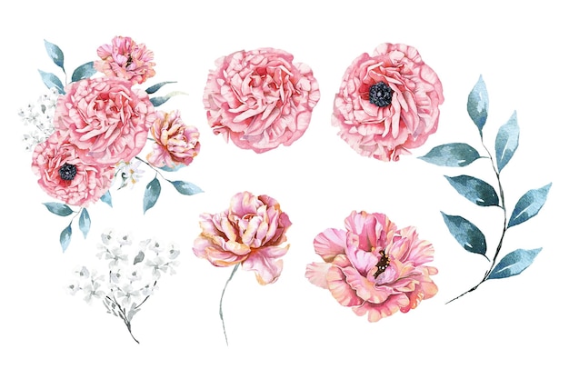 水彩画で描かれたアネモネペオニー招待状を飾るために咲くピンクの花
