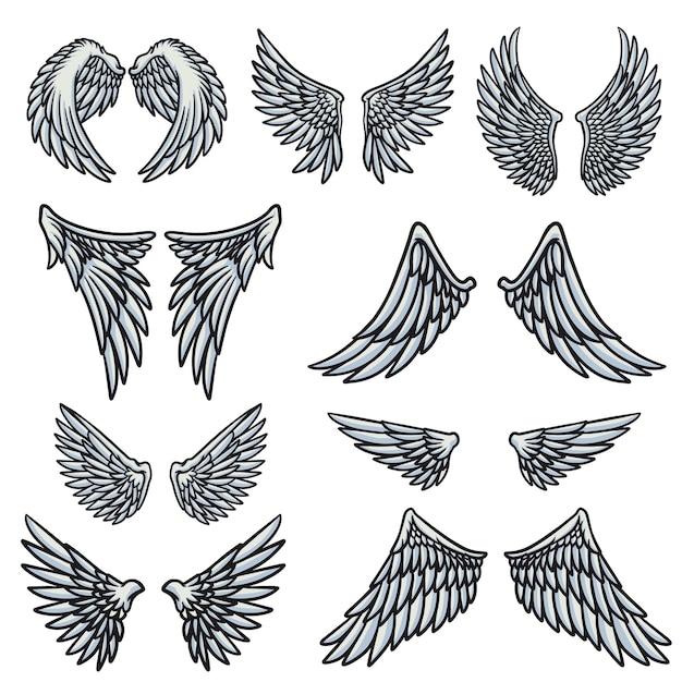 Illustrazione vettoriale di caratteri di angel wings