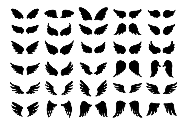 Vector angel wings in heaven hawk feather wing pattern