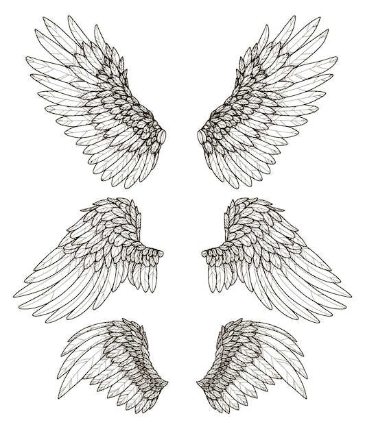 Vector angel wings  line clipart set