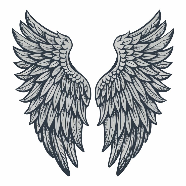 Vector angel wings silhouette vector illustration