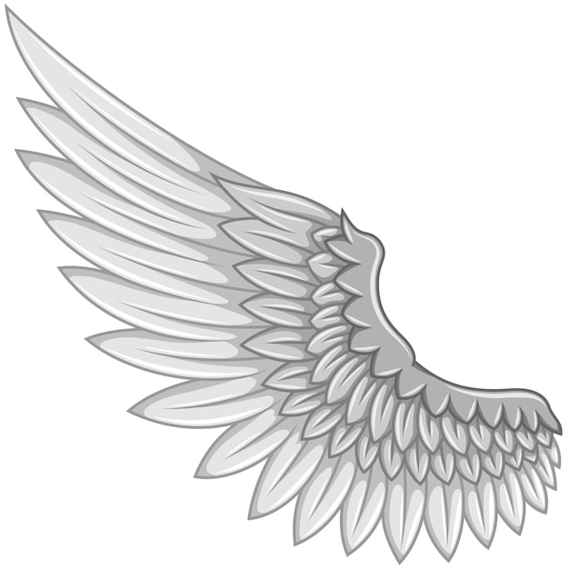 Vector angel wings vector design