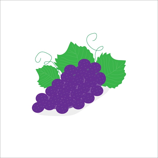 Vector anggur or grapes