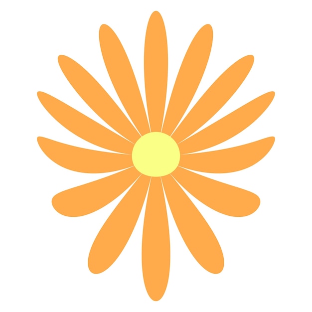 Angled orange daisy flower