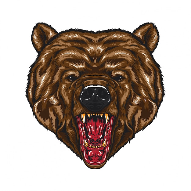 Angry Bear Head