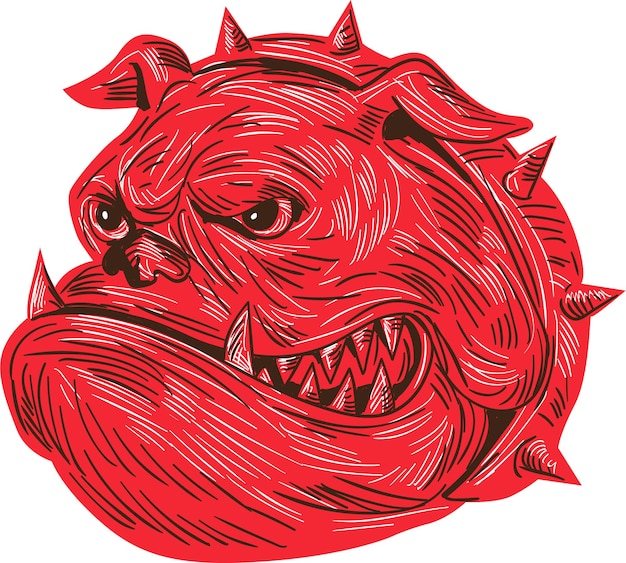Vector angry bulldog head drawing