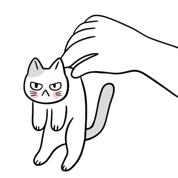 angry cat being held