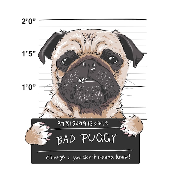 怒っている犬のpugの囚人のグラフィックイラスト