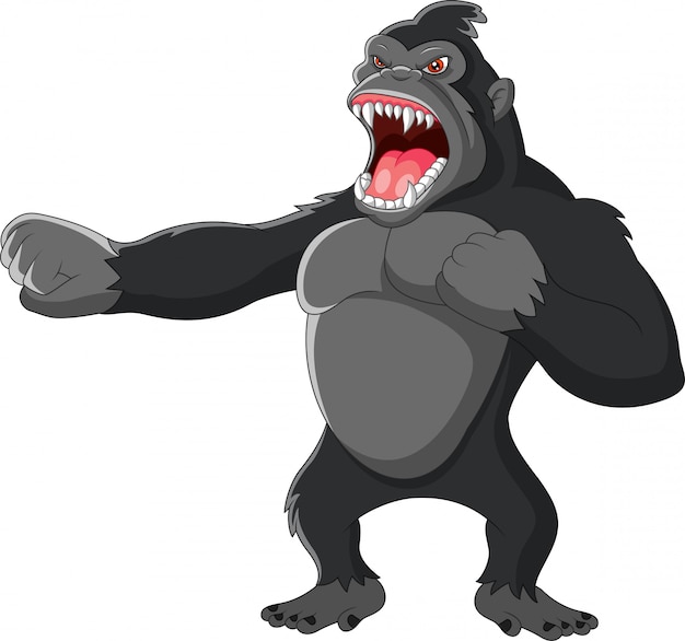 Angry gorilla a hitting the chest