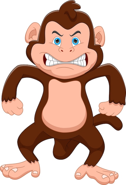 Angry monkey cartoon on white background