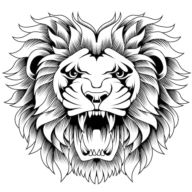 angry roaring male lion head