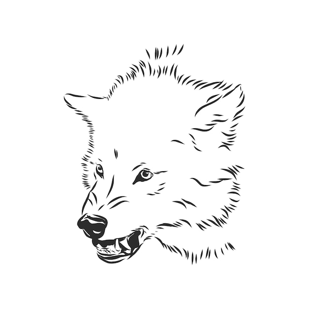 Testa di profilo lupo ringhiante arrabbiato - profilo animale feroce disegno mascotte vettoriale in bianco e nero