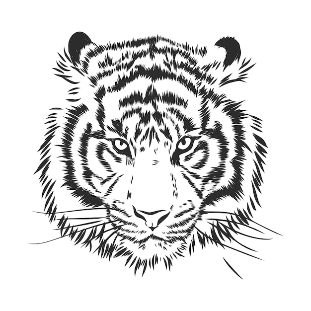 Angry tiger head silhouette, vector sketch illustration