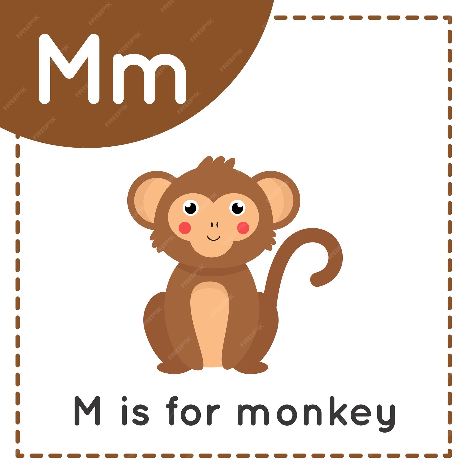 Premium Vector | Animal alphabet flashcard for children. learning letter m.  m is for monkey.