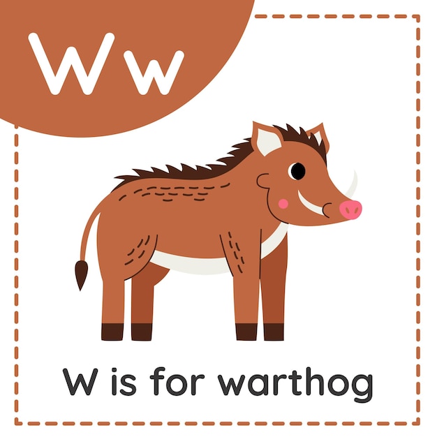 Animal alphabet flashcard for children Learning letter W W is for warthog