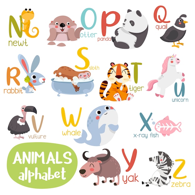 Vector animal alphabet graphic n to z. cute zoo alphabet with animals in cartoon style.