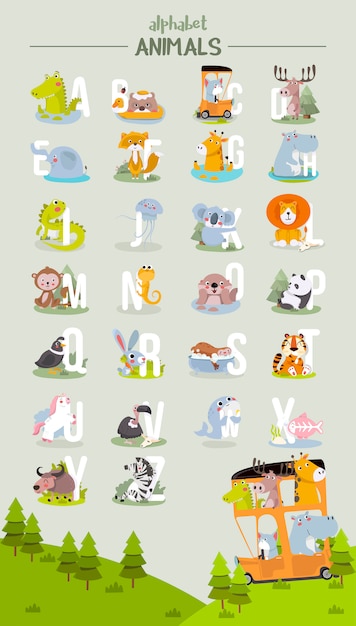 Animal alphabet graphic a to z. cute vector zoo alphabet with animals in cartoon style.