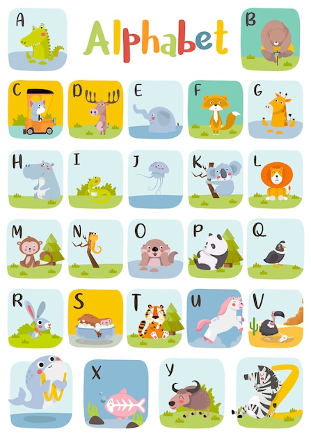 Animal alphabet graphic A to Z. Cute   Zoo alphabet with animals in cartoon style.