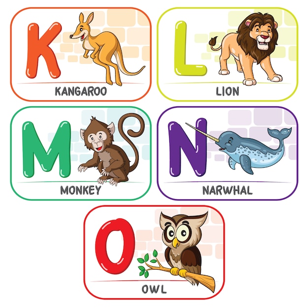 Animal alphabet k l m n o