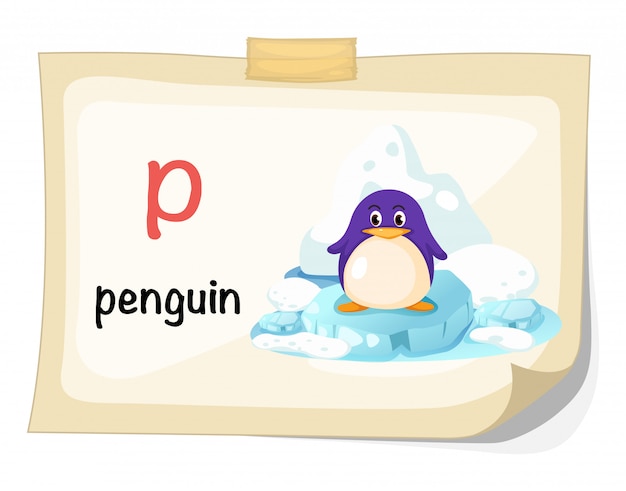 Animal alphabet letter p for penguin illustration vector