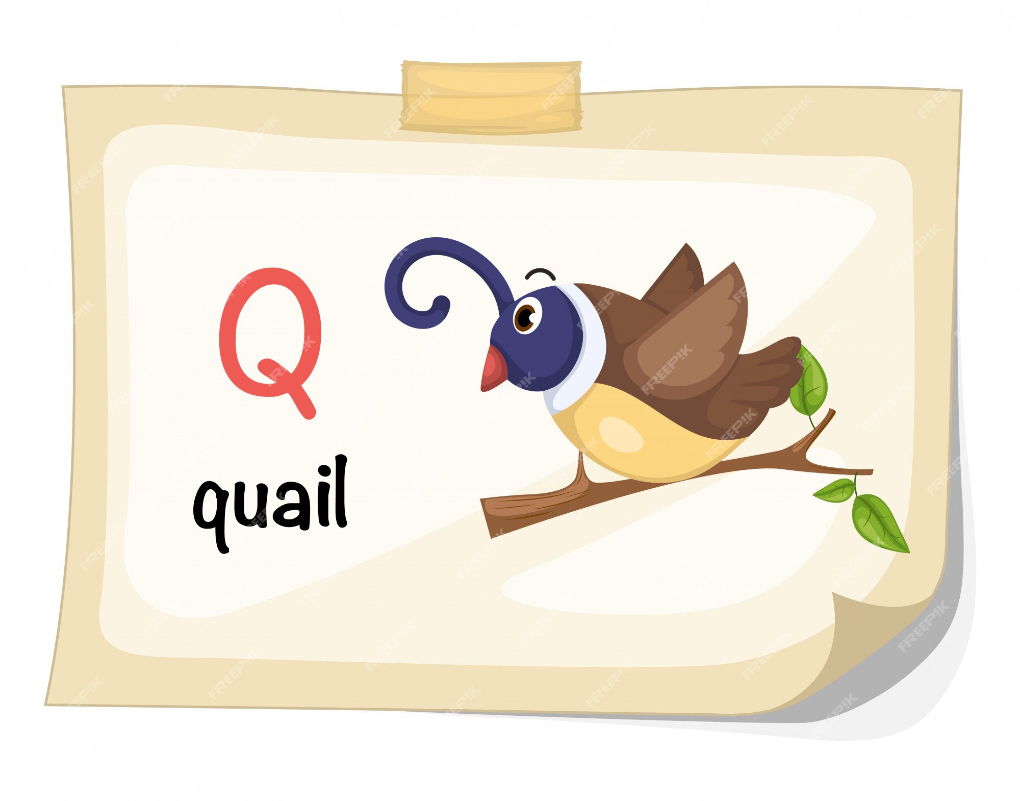 Premium Vector | Animal alphabet letter q for quail illustration vector Premium Vector | Animal alphabet letter q for quail illustration vector