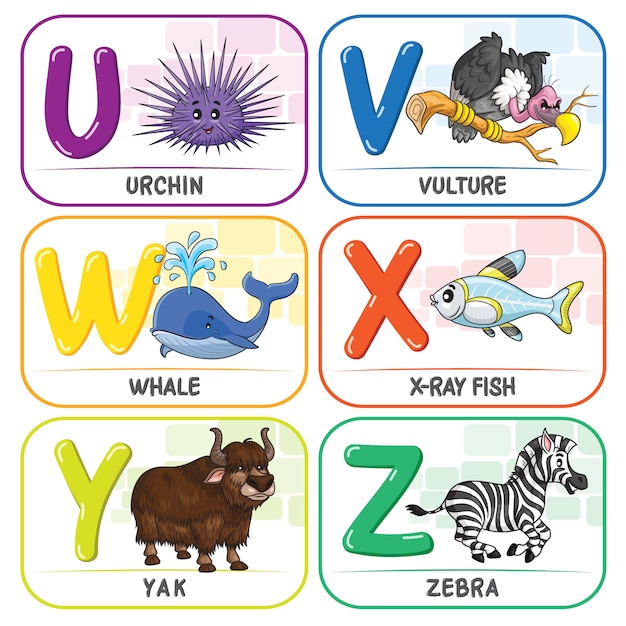 Vector animal alphabet u v w x y z