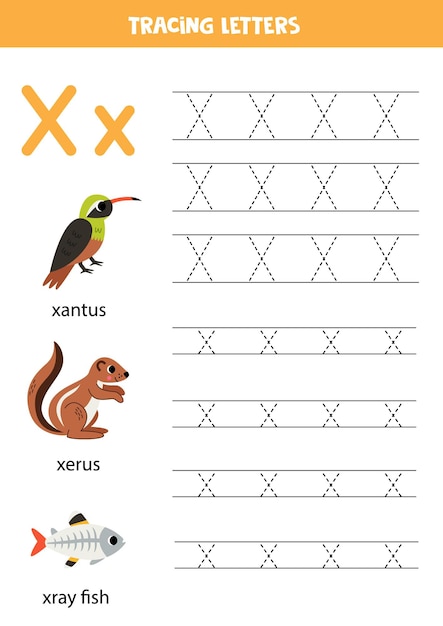 幼稚園の子供のための動物のアルファベットの書き方 文字xはxantus xerus xrayの魚です