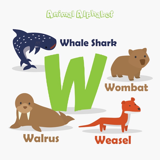 Animal alphabet