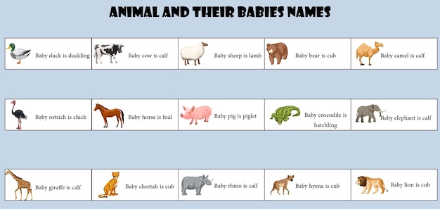 ベクトル 動物とその赤ちゃんの名前