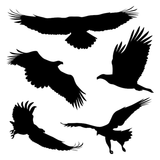 Vector animal bird eagle silhouettes vector illustration