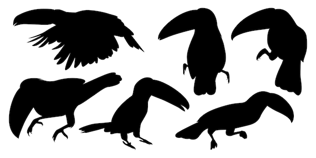 Vector animal bird toucan silhouettes vector illustration