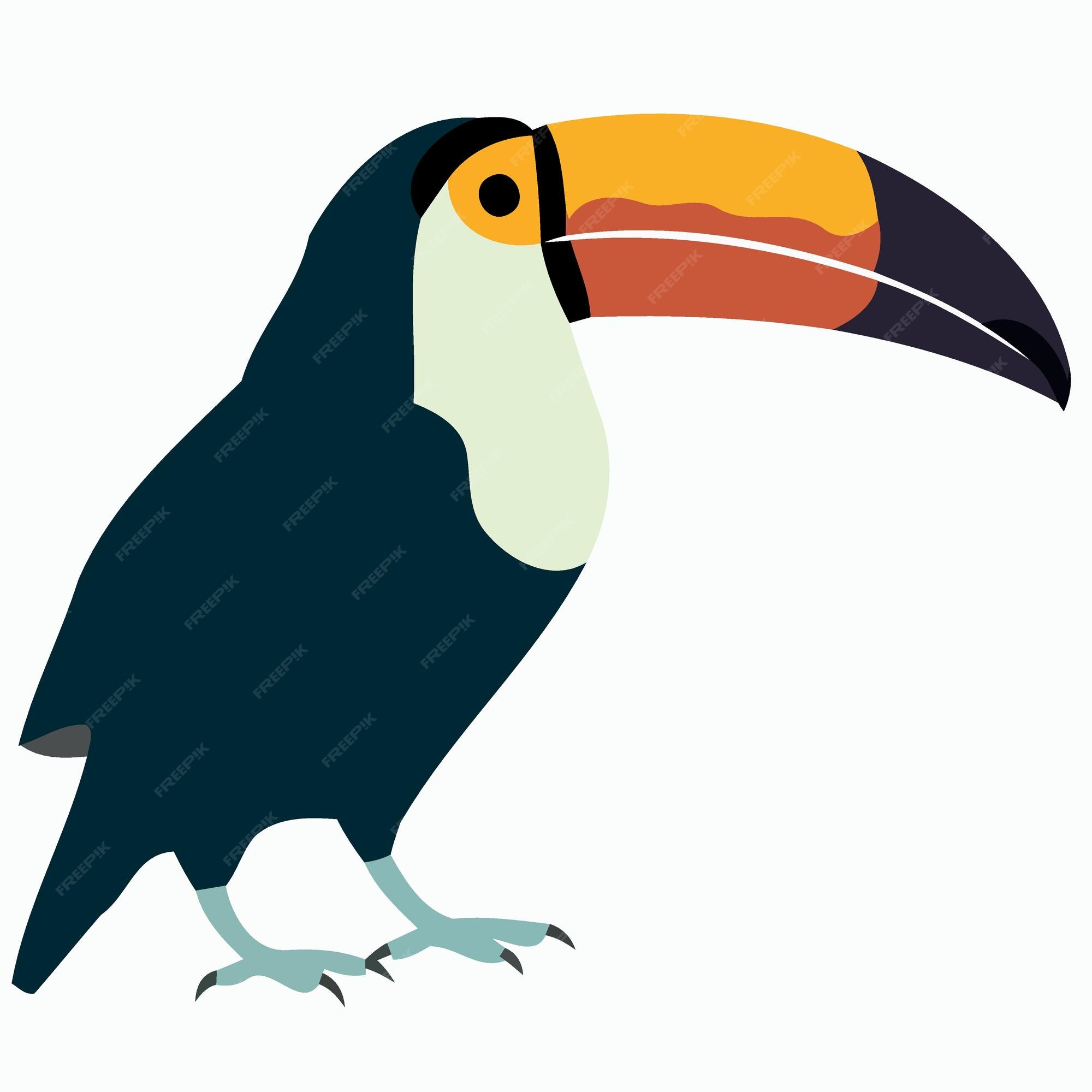 Premium Vector | Animal bird toucan standing