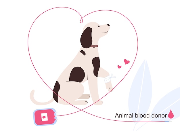 Animal blood donor Dog donor and blood container Vector illustration