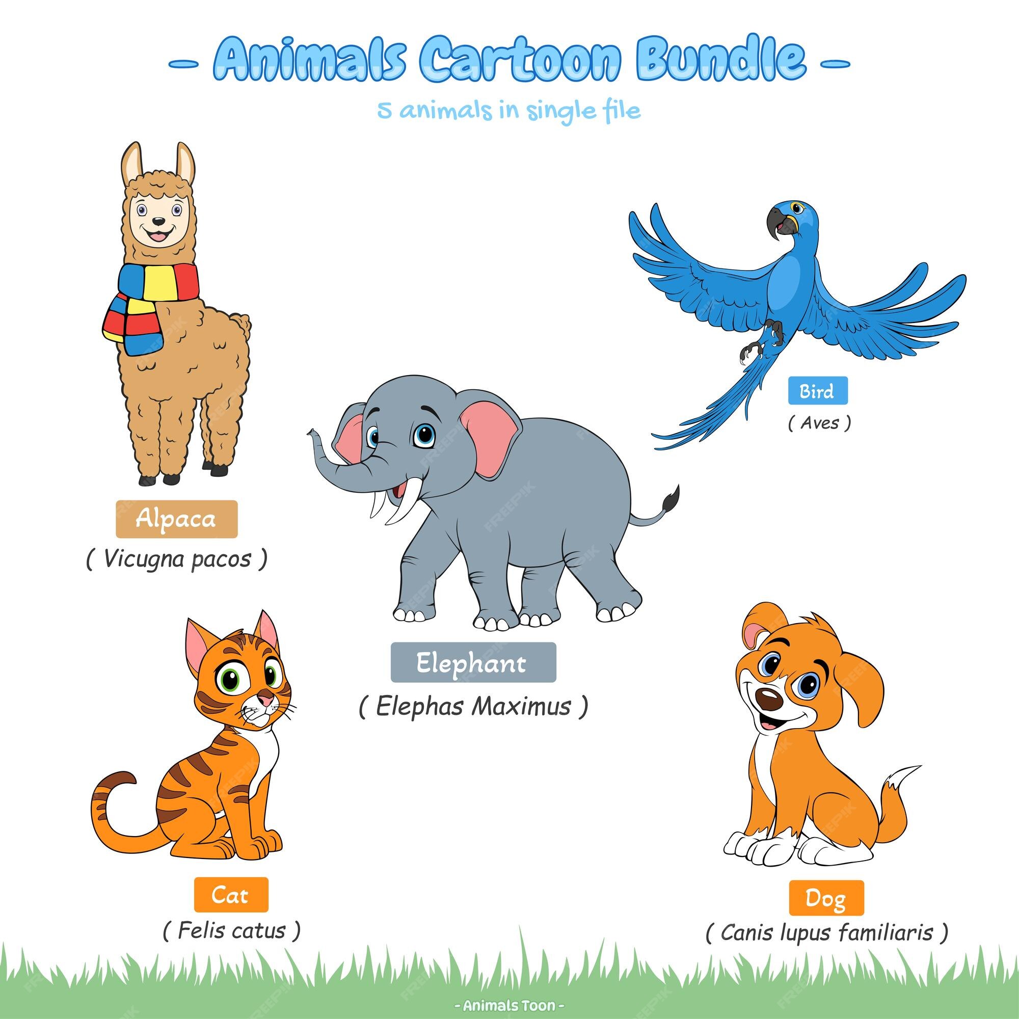 Premium Vector | Animal cartoons bundle part 1