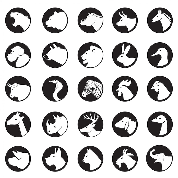 Vector animal collection