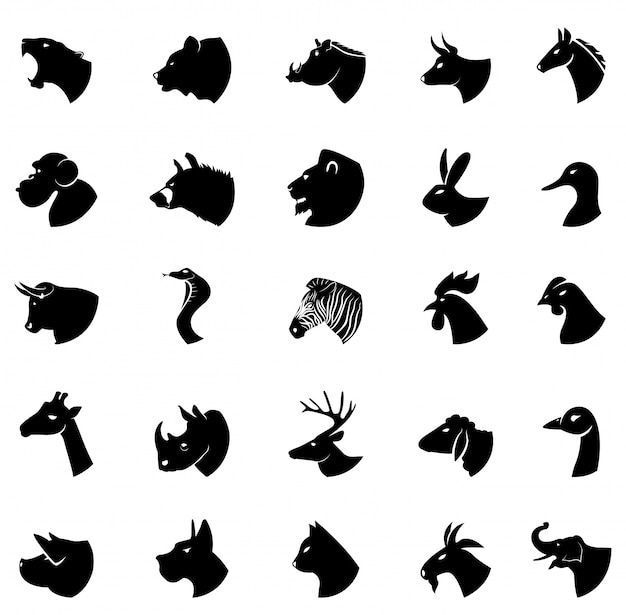 Vector animal collection