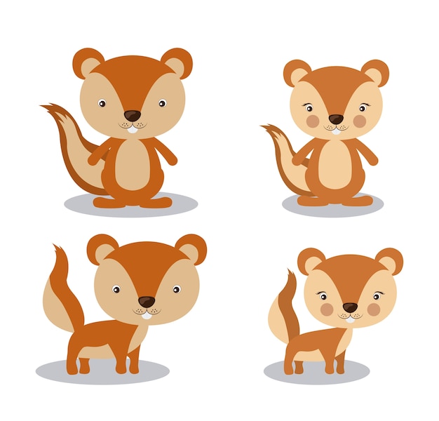 Vector animal cute design